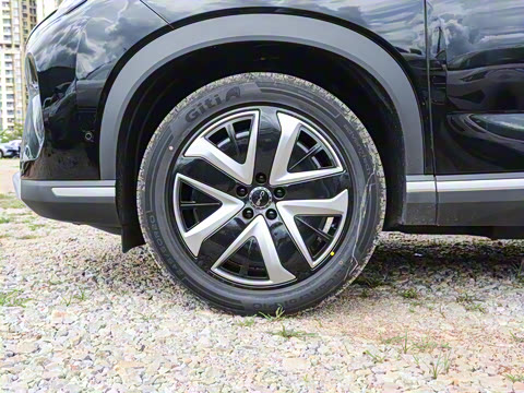 2025�� 135 �����ܼ����״��