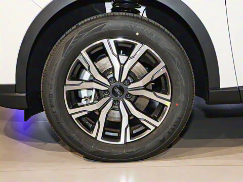 2025�� EcoBoost 170 ������