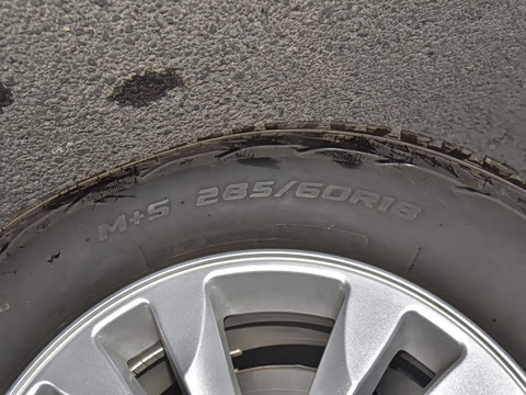 2023�� 4.6L V8 �캽��