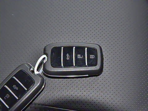 2023�� 4.6L V8 �캽��