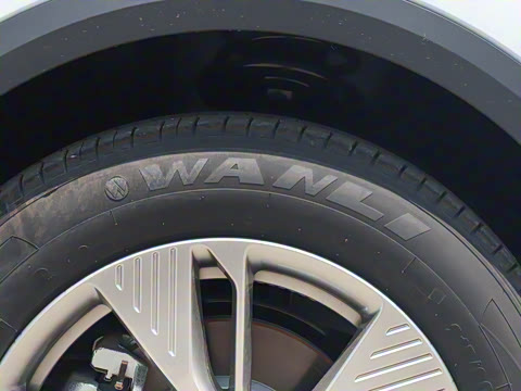 2025�� 445km ���ð�