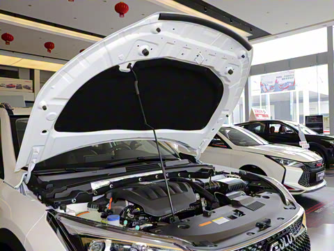 2021�� 230T �Զ�׷�ǰ�