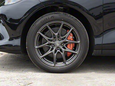 2025�� ����������������Ժ��