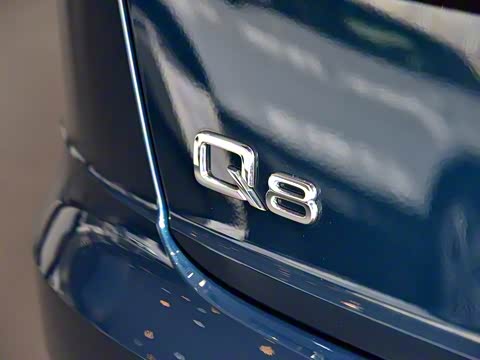 2019�� 55 TFSI ��ѡ������