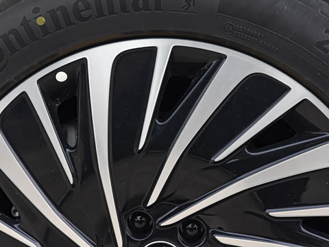 2025�� ���� 240 Pro�������ٸ�����ʻ