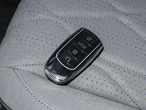 2025�� 290TGDI DCT�˷�� 