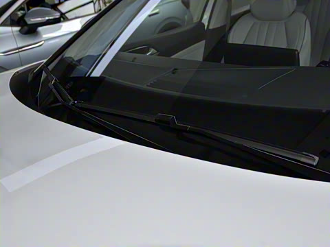 2021�� Pro ���ǳ�������