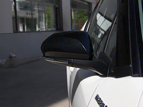 2021�� ˫�� 2.0L ������