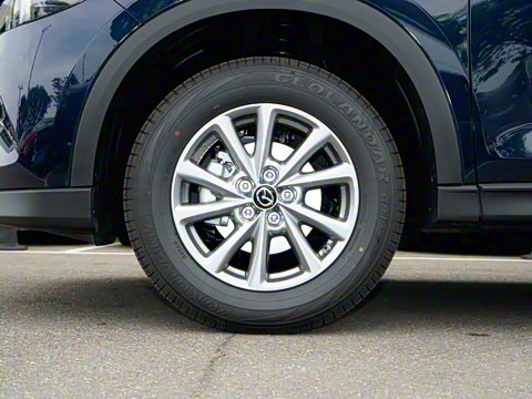 2025�� 2.0L �Զ�����������