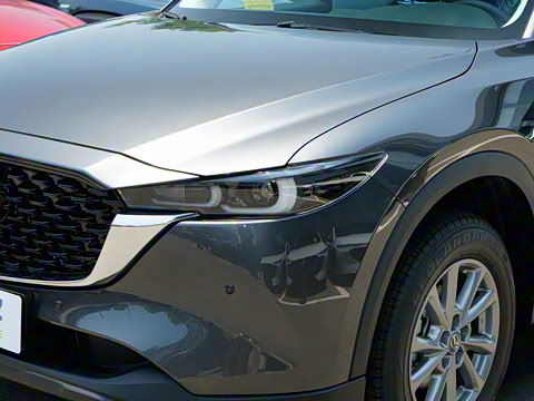 2025�� 2.0L �Զ�����������