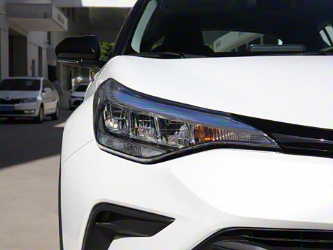 2021�� ˫�� 2.0L ������