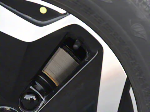 2021�� �촴��