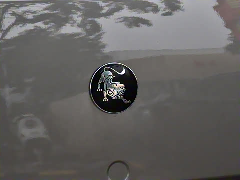 2025�� 110km���� ������7��