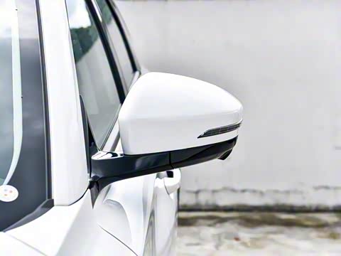 2025�� PRO 1.5T DCT ������ 5��