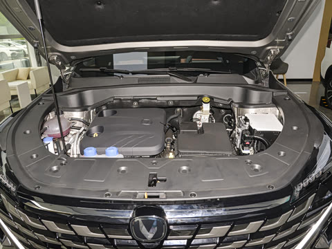 2025�� �ǻ������� 125km ������