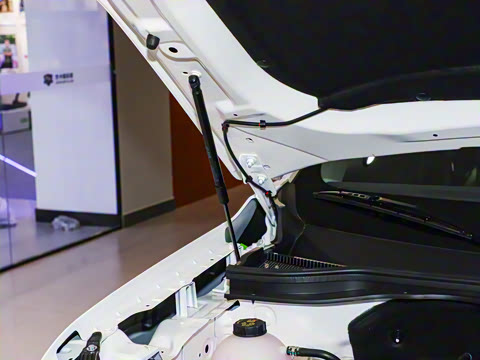 2025�� EcoBoost 170 ������