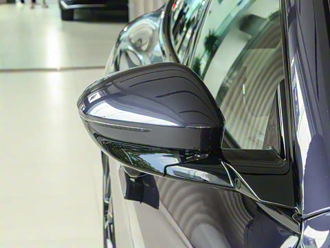 2025�� Max�����