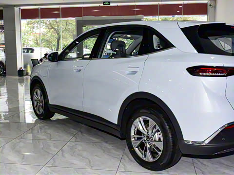 2025�� 445km ��ѡ��