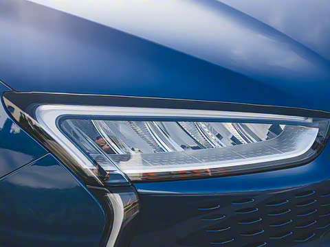 2021�� ��������Զ����