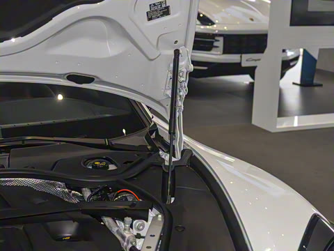 2024�� Panamera 4 �����ӳ��� 2.9T