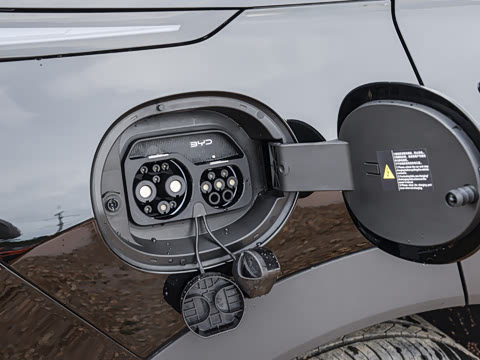 2025�� 135 �����ܼ����״��