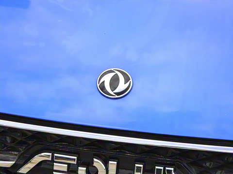 2021�� 230T �Զ�׷�°�