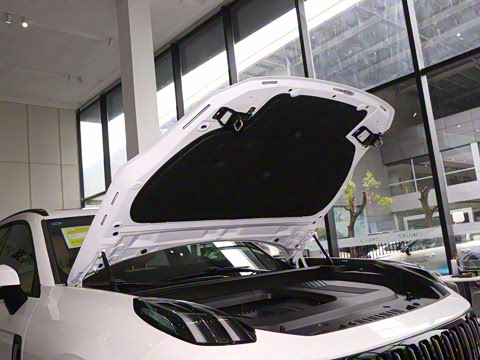 2025�� 2.0TD EM-P ����Max ����