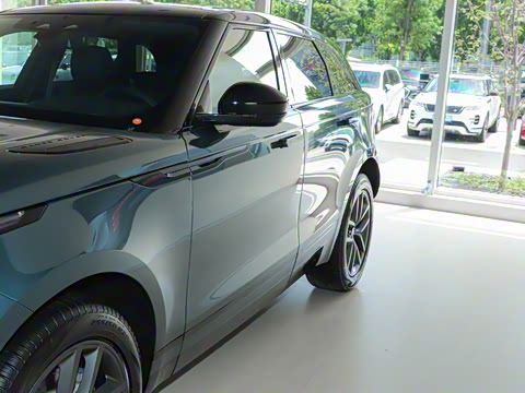 2026�� 250PS Dynamic SE