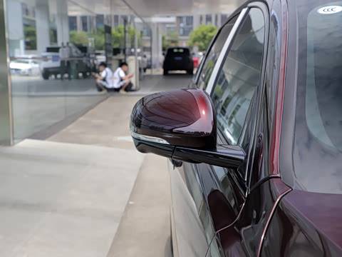 2021�� XFL 2.0T P250 �����׺��˶���