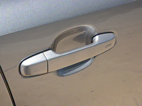 2021�� ˫�� 2.0L ������