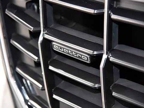 2019�� 55 TFSI ��ѡ������