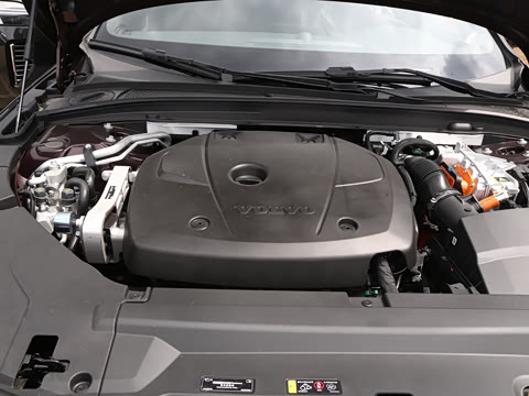 2026�� ���ʽ�춯 ������������Զ������