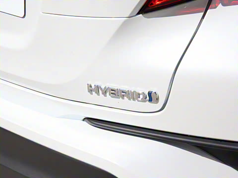 2021�� ˫�� 2.0L ������