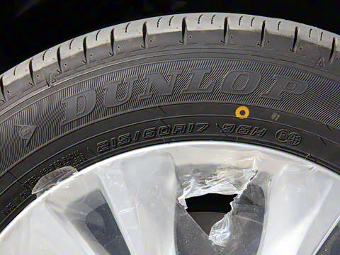 2021�� ˫�� 2.0L ������