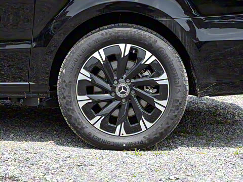 2025�� V 300 �캽��