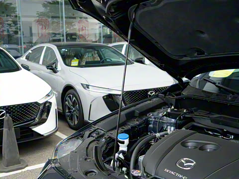 2025�� 2.0L �Զ�����������