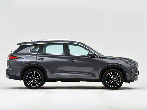 2021�� 390T �Զ����ư�