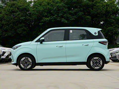 2025�� 305km ������