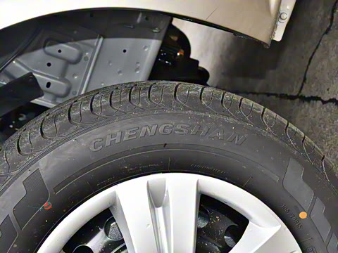 2025�� 110km���� ������7��