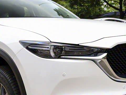 2020�� �Ŀ� 2.0L �Զ�����������