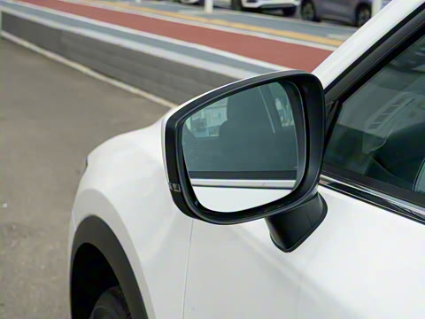 2025�� 2.0L �Զ���������Pro