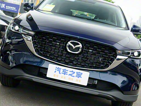 2025�� 2.0L �Զ�����������