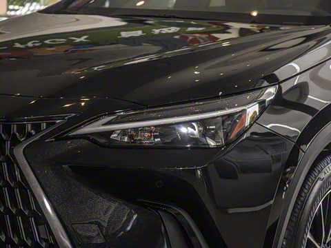 2025�� 260 ǰ�� �ر��