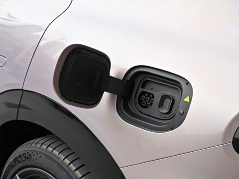 2025�� ������������������Max��