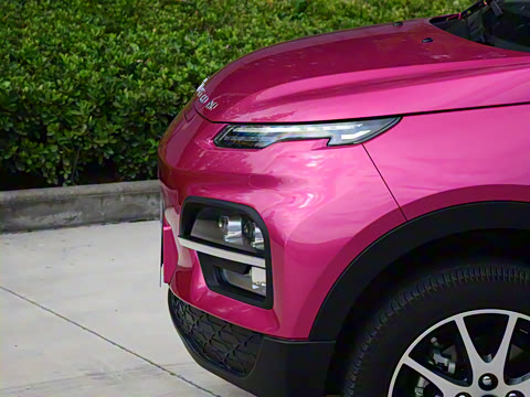 2020�� ���������