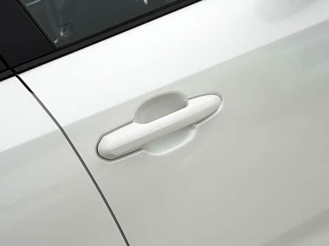 2021�� �����ܰ� 2.5L ���������