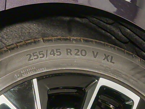 2025�� Max�����