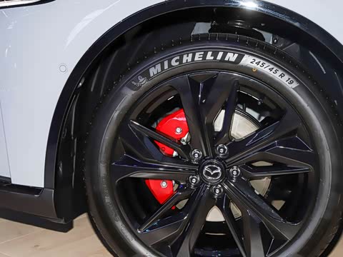 2025�� ����600�����˶���