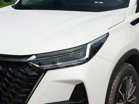 2024�� �ھ��� 290T ������ҫ�� 5��