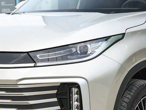 2025�� 300T ������ҹ��